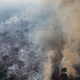 Image for article titled How China Is Helping Drive Deforestation in Brazil and Indonesia